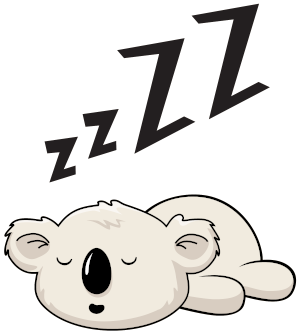 Koala sleeping